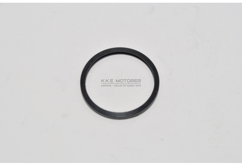 TERMOSTAT O-RING
