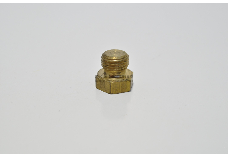LUKKESKRUE 1/4 NPT