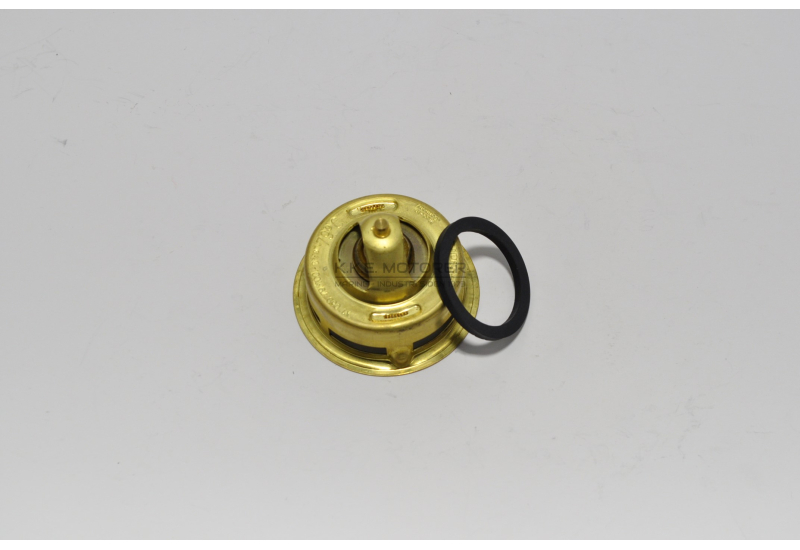 TERMOSTAT DV 36-48 FERSKVAND