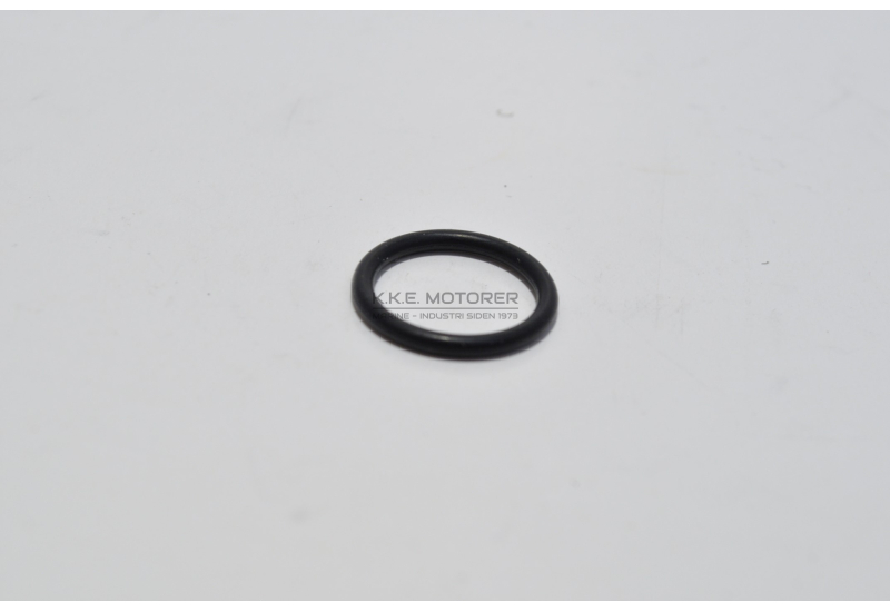 O-RING BRÆNDSTOFPUMPE TIDL: 239989