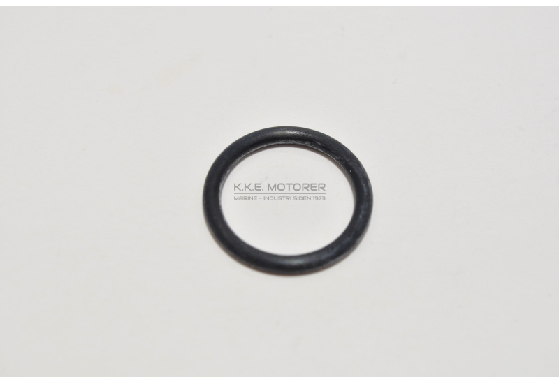 O-RING