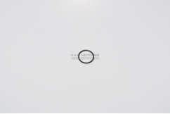 O-RING DYSE 1GM 1GM10 2GM 2GM20