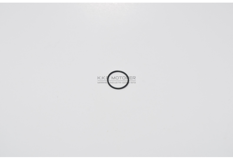 O-RING DYSE 1GM 1GM10 2GM 2GM20