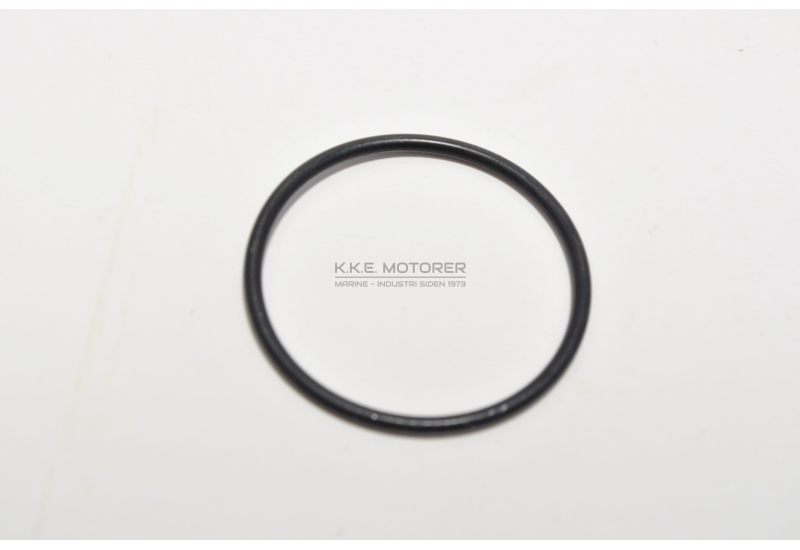 O-RING OLIEPIND SD 20-30-31