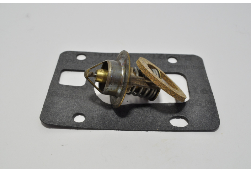 TERMOSTAT 3.0