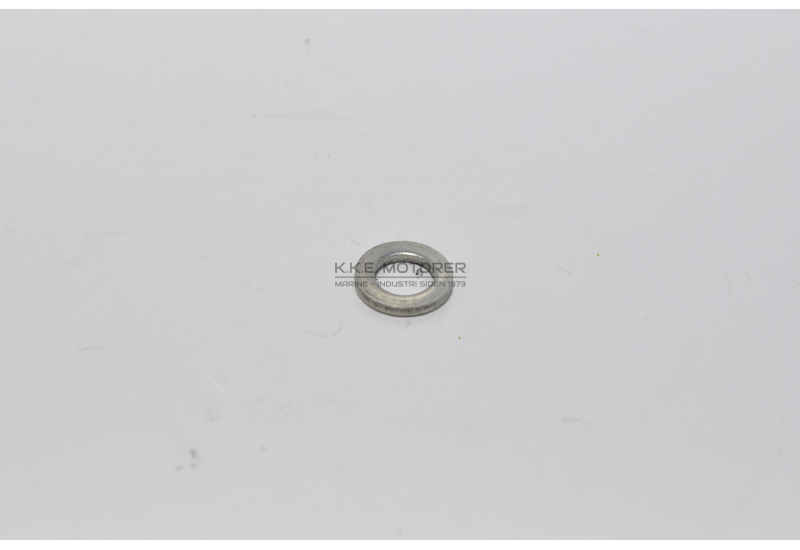 SKIVE RUSTFRI 6MM