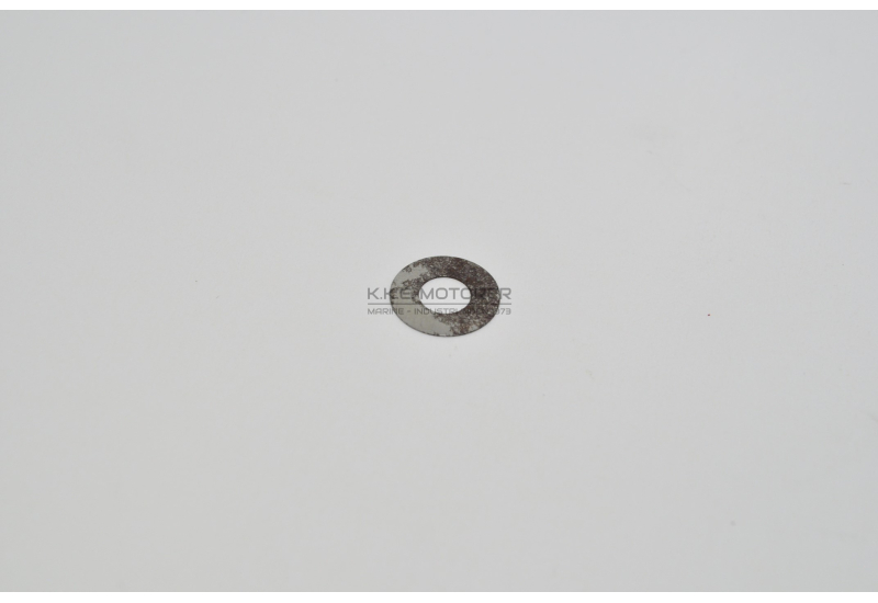 UDLIGNINGSSKIVE BRÆNDSTOFVENTIL 0.25 MM DV 10-20