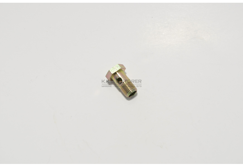 BANJO BOLT 14 MM DV 8/10L-10-20-24-29-32-36-48