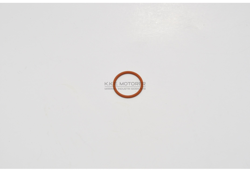 O-RING TIL DYSEFORING DV 24-29-32-36-48