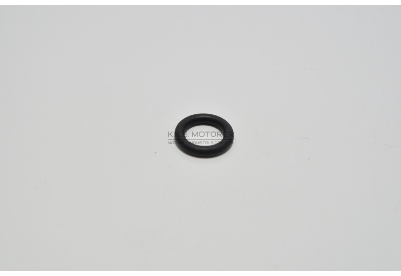 O-RING OLIEPIND DV 10-20