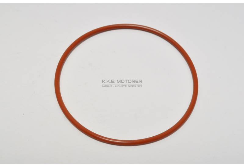 O-RING MELLEM BLOK & S.PUMPE DV 36 48