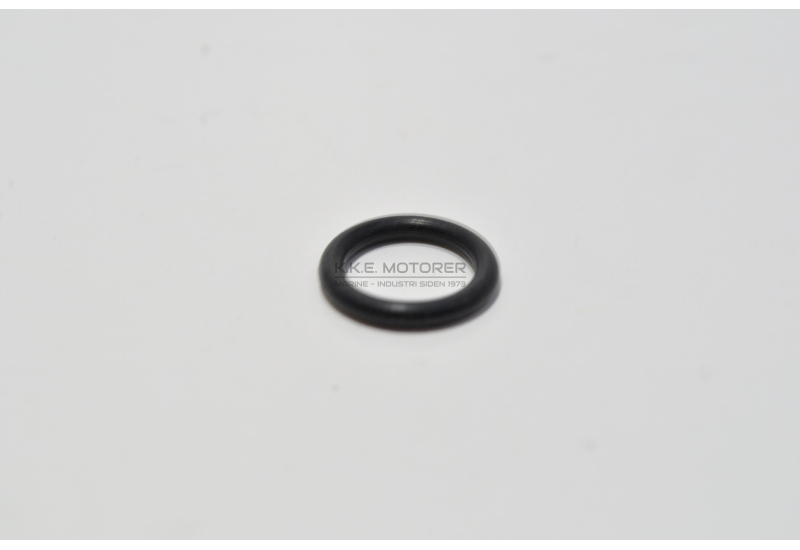 O-RING OLIEPIND DV 24-36-48