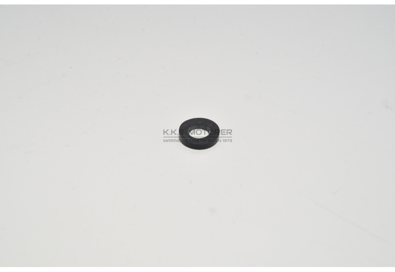 CAV 296 PAKNING BUNDPROP GLAS