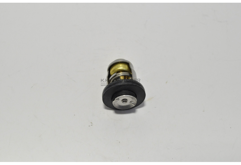 TERMOSTAT MARTEC YANMAR