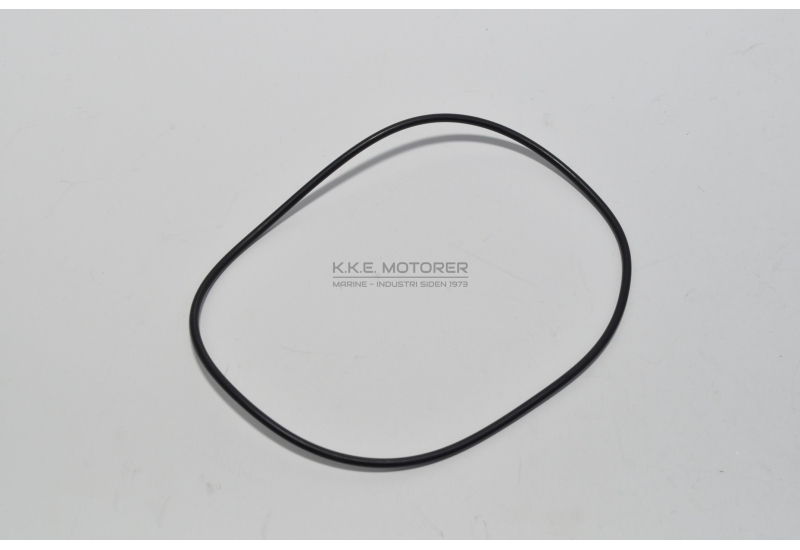 O-RING VANDPUMPE D12