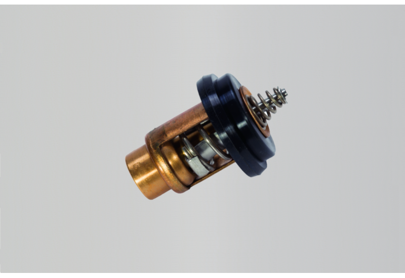 TERMOSTAT F2.5 - F6