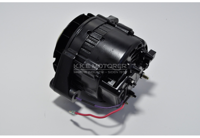 Alternator ASSY - Tidl. 805884P