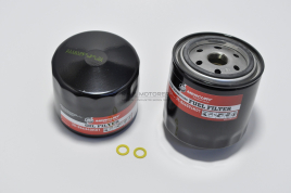 SERVICE KIT 100 TIMER 3.0L MPI