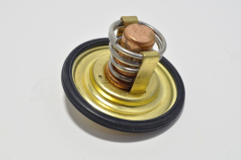 TERMOSTATSÆT* 60GR