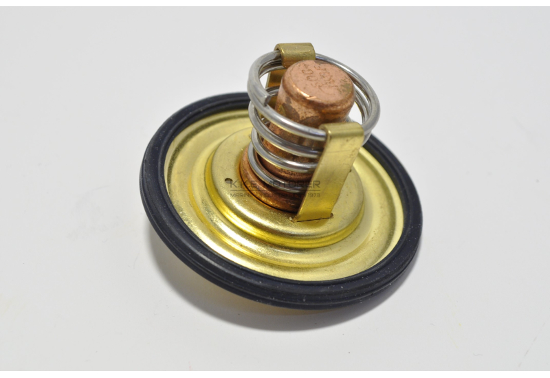 TERMOSTATSÆT* 60GR