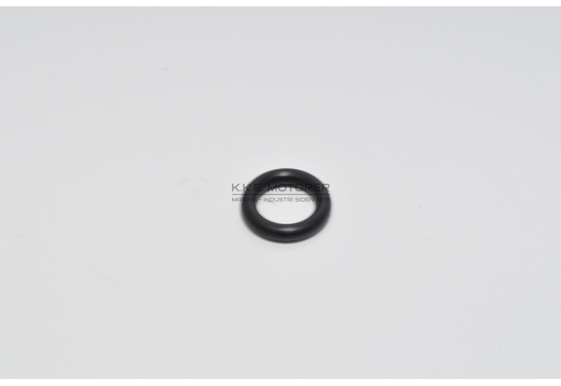 O-RING