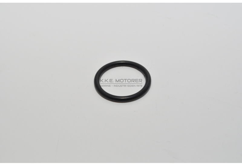 O-RING