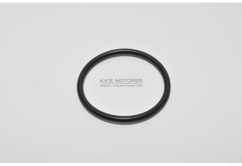 O-RING