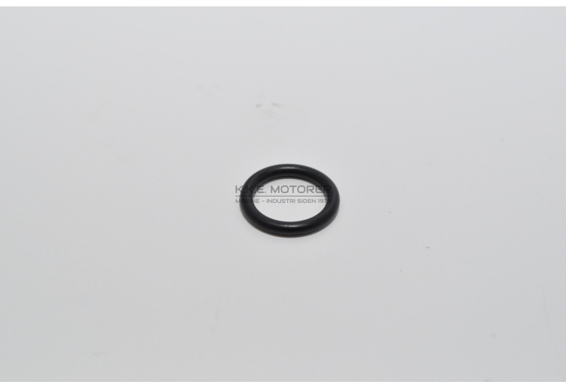 O-RING