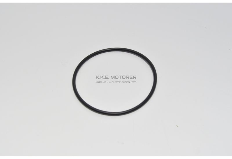 O-RING*