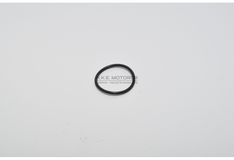 O-RING