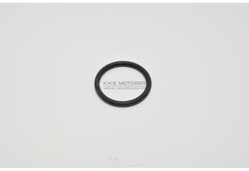 O-RING