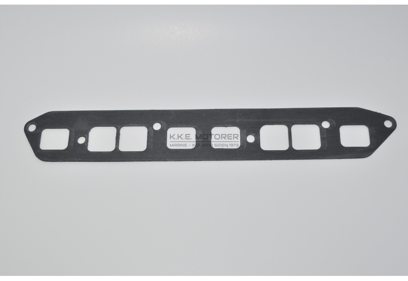 PAKNING MANIFOLD
