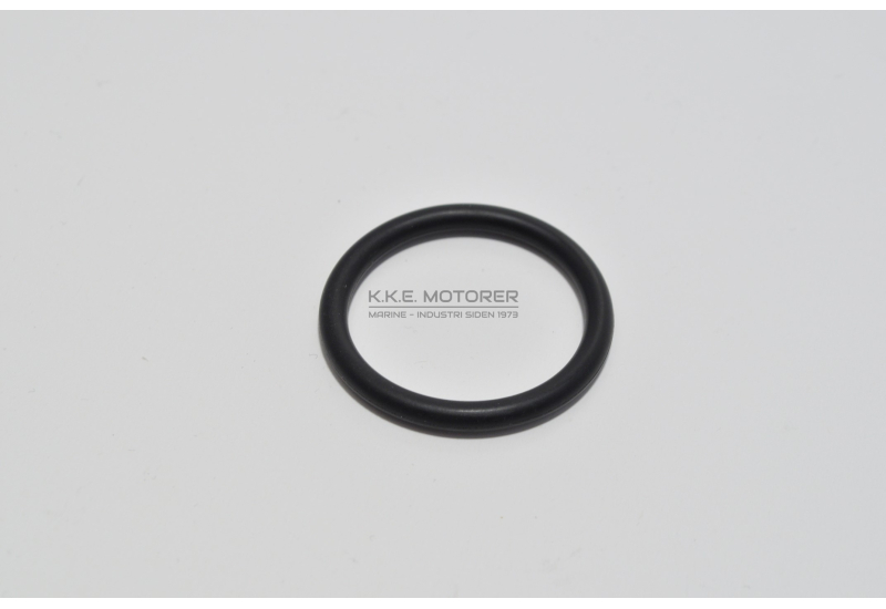 O-RING SØVANDSPUMPE IND/UD TDI - 5 CYL