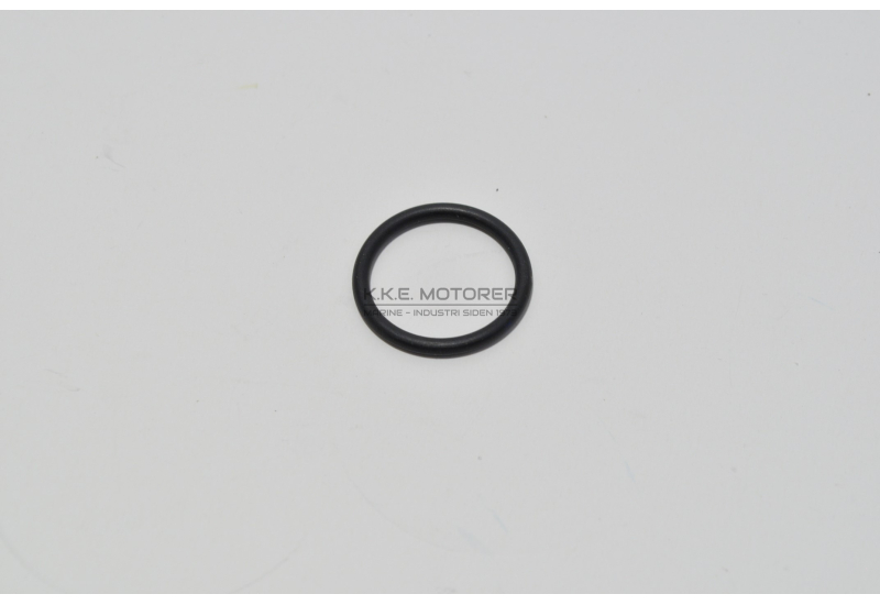 O-RING