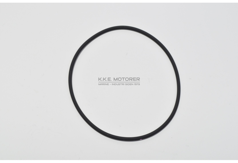 O-RING