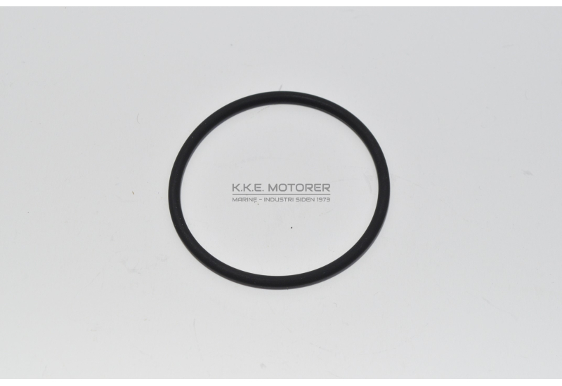 O-RING