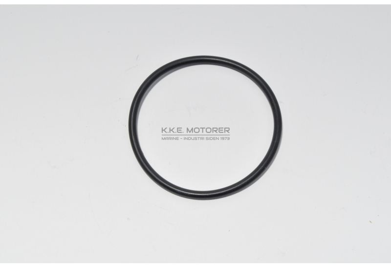 O-RING