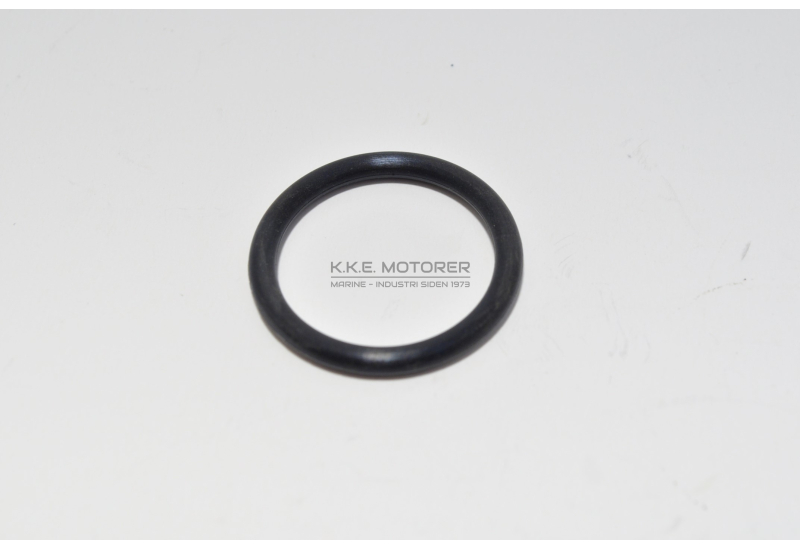 O-RING ZINK SD20 25 30 31