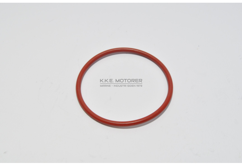 O-RING TSK