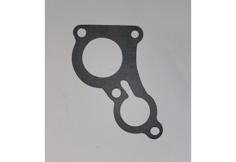 PAKNING TERMOSTAT