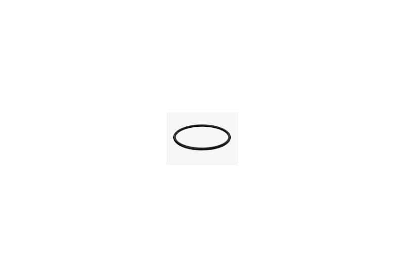 O-RING VANDPUMPE