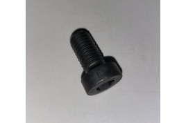BOLT LOW HEAD M8