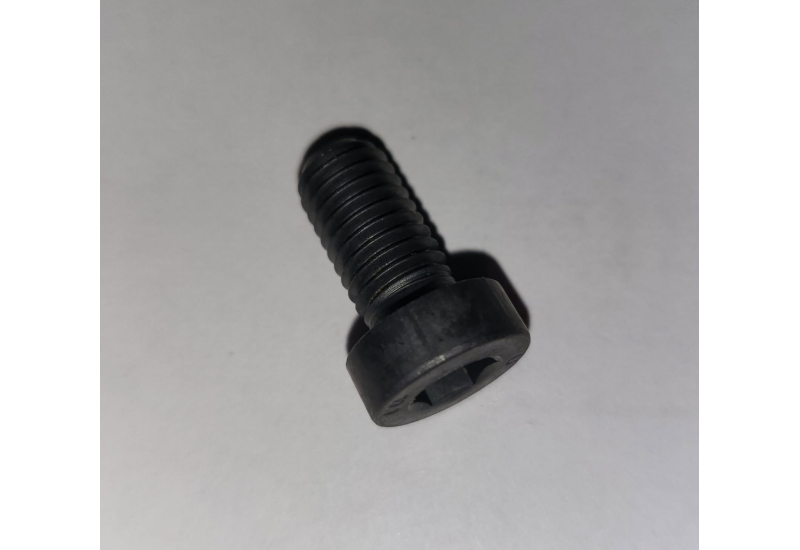 BOLT LOW HEAD M8